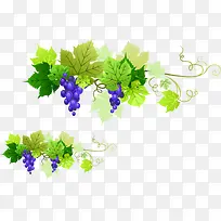 ����PNGʸ���ز�-������