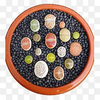 石生花多肉植物-空若网 石生花多肉植物-空若网