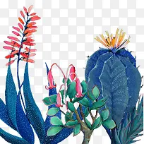 手绘多肉植物-空若网 手绘多肉植物-空若网