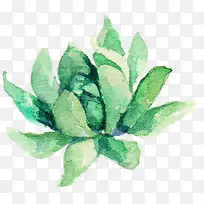 清新水彩多肉植物-空若网 清新水彩多肉植物-空若网