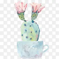 手绘水彩盆栽仙人掌-空若网 手绘水彩盆栽仙人掌-空若网