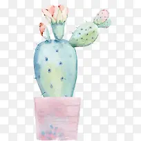 手绘水彩盆栽仙人掌-空若网 手绘水彩盆栽仙人掌-空若网