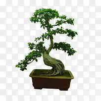 ��-������