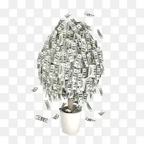 钱树-空若网 钱树-空若网