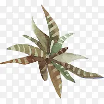 手绘水彩多肉-空若网 手绘水彩多肉-空若网