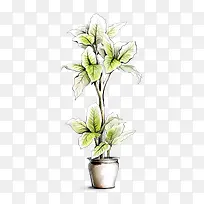 �ֻ�-������