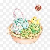 Ö²Îï-¿ÕÈôÍø Ö²Îï-¿ÕÈôÍø