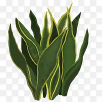 小清新插画广告设计卡通盆栽-空若网 小清新插画广告设计卡通盆栽-空若网