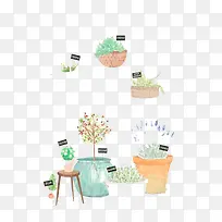 水彩植被-空若网 水彩植被-空若网