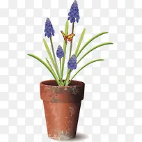 矢量薰衣草-空若网 矢量薰衣草-空若网