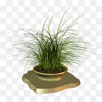 ����-������