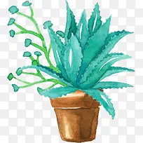 С���²廭�����ƿ�ͨ����-������