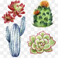 ˮ�ʶ���ֲ��-������