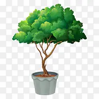 树 树木-空若网 树 树木-空若网