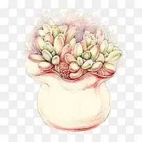 Ö²Îï-¿ÕÈôÍø Ö²Îï-¿ÕÈôÍø