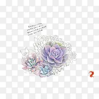 Ö²Îï-¿ÕÈôÍø Ö²Îï-¿ÕÈôÍø