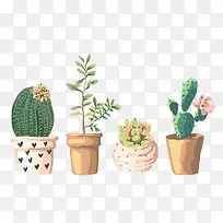 水彩仙人掌-空若网 水彩仙人掌-空若网