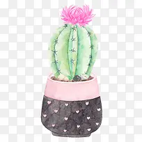 小清新插画广告设计卡通盆栽-空若网 小清新插画广告设计卡通盆栽-空若网