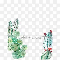 Ë®²ÊÏÉÈËÕÆ-¿ÕÈôÍø Ë®²ÊÏÉÈËÕÆ-¿ÕÈôÍø