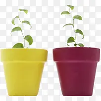 ��ɫ��ʽ����ֲ��-������