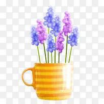 薰衣草盆栽-空若网 薰衣草盆栽-空若网