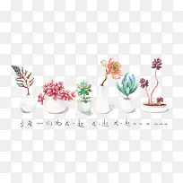 植物-空若网 植物-空若网