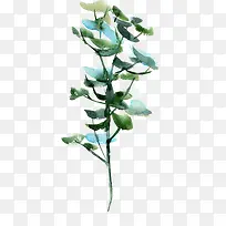 水彩绿色花卉盆栽-空若网 水彩绿色花卉盆栽-空若网