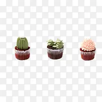 多肉植物杯子蛋糕-空若网 多肉植物杯子蛋糕-空若网