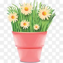 ����ֲ��-������