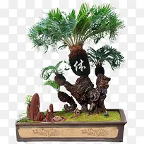 手绘创意盆栽景观-空若网 手绘创意盆栽景观-空若网