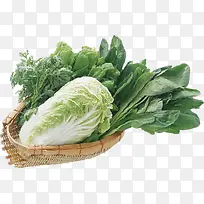 蔬菜装饰-空若网 蔬菜装饰-空若网