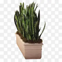 ÊÖ»æÅèÔÔ´´ÒâÖ÷Ìâ-¿ÕÈôÍø ÊÖ»æÅèÔÔ´´ÒâÖ÷Ìâ-¿ÕÈôÍø