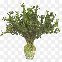 手绘盆栽创意素材-空若网 手绘盆栽创意素材-空若网