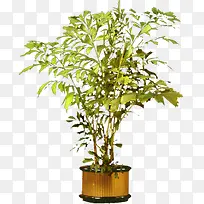 手绘盆栽创意海报-空若网 手绘盆栽创意海报-空若网