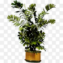 手绘盆栽创意展板-空若网 手绘盆栽创意展板-空若网