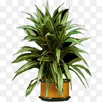 手绘盆栽创意展架-空若网 手绘盆栽创意展架-空若网