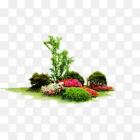 ��ɫ԰����ľ���-������