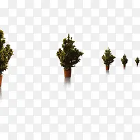 高清摄影公园的盆栽-空若网 高清摄影公园的盆栽-空若网