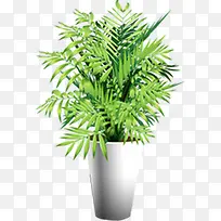 绿色植物盆栽高清创意摄影-空若网 绿色植物盆栽高清创意摄影-空若网