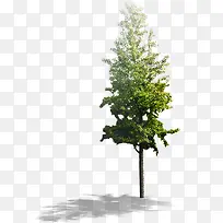 高清创意摄影草本植物盆栽-空若网 高清创意摄影草本植物盆栽-空若网