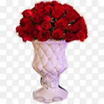 高清摄影红色盆栽玫瑰花-空若网 高清摄影红色盆栽玫瑰花-空若网