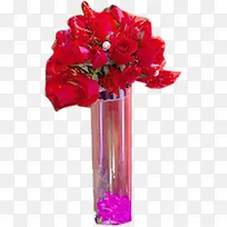 红色玫瑰花高清摄影盆栽-空若网 红色玫瑰花高清摄影盆栽-空若网