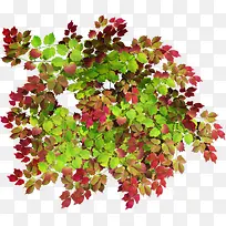 ×°ÊÎËØ²Ä»¨²Ýͼ°¸ËزÄ-¿ÕÈôÍø ×°ÊÎËØ²Ä»¨²Ýͼ°¸ËزÄ-¿ÕÈôÍø