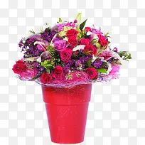 ���尮��ɫ��������-������