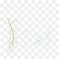 ��֦-������