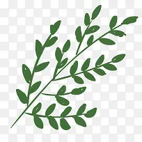 ��ɫ��֦-������