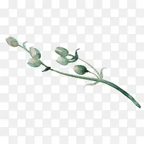 �ֻ���֦-������