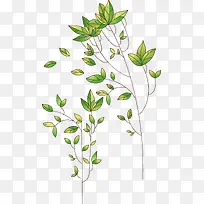 �ֻ���֦-������