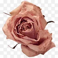 ps�����ز��ʻ�����-������