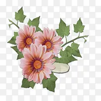 花草图片素材花草背景素材-空若网 花草图片素材花草背景素材-空若网